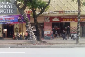 TP Vinh không có chủ trương cho thuê vỉa hè 22.000/m2