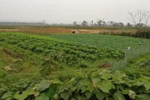 Bị đạn bắn găm vào người 9 ngày, chưa thể mổ lấy ra