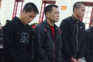 Sang Lào mua ma túy về bán, tòa xử 15 năm tù