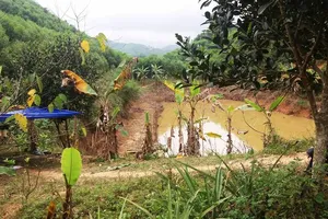 Bơm ao gần nơi 'đánh bạc' tìm được thi thể nam nạn nhân