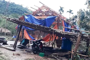 Giông lốc tốc mái hàng trăm nhà dân