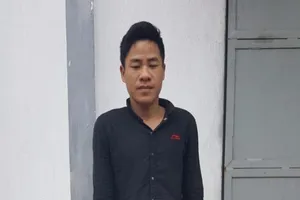 Bắt kẻ 'ngựa quen đường cũ' trộm xe liên tỉnh