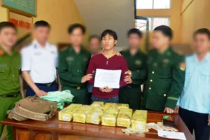 Bắt giữ công dân Lào buôn lậu 15 kg ma túy đá