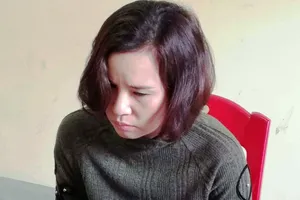 Dùng giấy đỏ dỏm lừa vay hơn 12 tỉ đồng