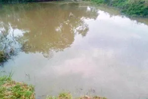 Thương tâm: Dân nhảy xuống hồ không kịp cứu 2 học sinh