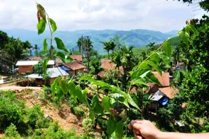 Chồng ăn lá ngón tự tử vì... gọi điện vợ không nghe