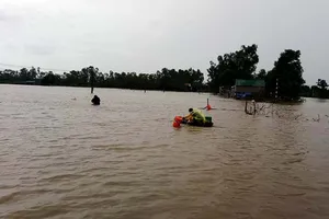 35 người vào rừng từ trước bão đang bị mất liên lạc