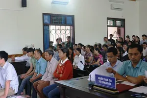 Vụ vợ chồng kêu oan: Đề nghị giám định gỗ và từng hecta rừng 