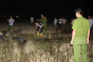 Đau lòng 4 người chết khi dựng cột viễn thông