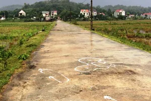 Tông chết 1 phụ nữ rồi bỏ trốn