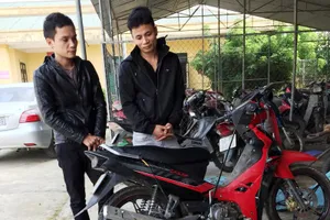 Con rể trộm chó để bán cho mẹ vợ