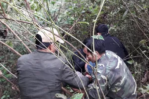 Biên phòng phá chuyên án ma túy lớn, bắt một người Lào