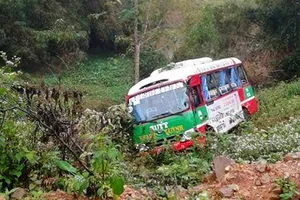 Cây xoan 'cứu' 16 người trên xe buýt