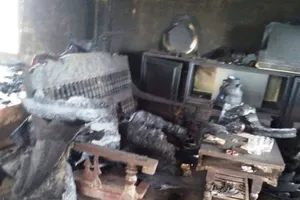 Một gia đình kêu cứu vì bị kẻ xấu liên tục chặt cây, đốt nhà