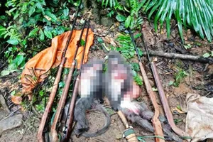 5 người chế tạo súng đi giết voọc dã man trong vườn quốc gia