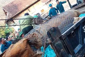 Dùng lưới B40 quây bom dài 2 mét để cẩu lên xe tải 