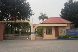  1.500 tấn xi măng trong nhà máy Hoàng Mai mang nhãn Zebra