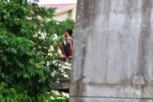 Cảnh sát bắt kẻ ngáo đá chặt cổ gà, leo lên nhà dân 