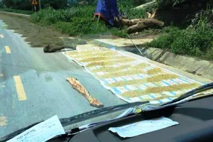 Đau đầu với bức ảnh 'cắm chông' trên đường bẫy ô tô