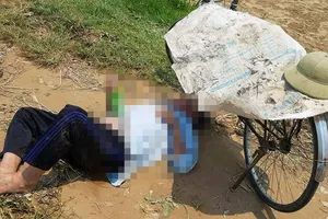 Làm việc dưới nắng nóng, 1 nông dân ngất xỉu rồi tử vong