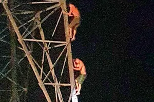 Giải cứu người đàn ông giận vợ leo lên cột điện cao thế