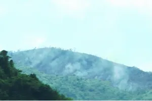 Đốt rẫy gây cháy rừng, cả trăm người trèo núi dập lửa 