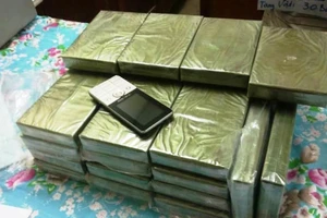 Biên phòng phối hợp với Lào bắt kẻ mang ma túy vào Việt Nam