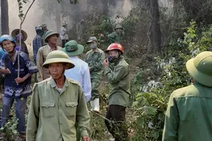 Bắt giữ người nghi gây ra vụ cháy lớn rừng núi Hồng Lĩnh