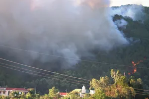 Chặn quốc lộ 1A, tập trung dập lửa ở núi Hồng Lĩnh