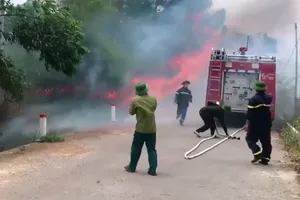 Dập đám cháy rừng, 1 phụ nữ tử vong