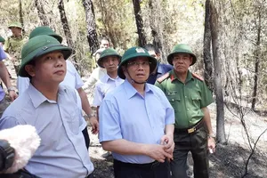 Ông Phạm Minh Chính: Có điều trực thăng chữa cháy rừng không?