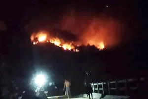 Lửa ở rừng Nghệ An lan sang gây cháy lớn ở Hà Tĩnh 