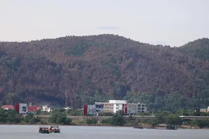 Chùm ảnh: Rừng thông Hồng Lĩnh 'chết đứng' sau cháy rừng