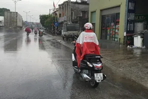 Bắc Nghệ An có 'mưa vàng', rừng Hà Tĩnh vẫn chờ...