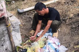 Người đốt rác gây cháy rừng ở Hà Tĩnh bị khởi tố