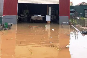 Bị lũ ống cuốn trôi, người đàn ông leo lên ngọn tre