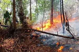 Lại cháy rừng nhiều giờ ở Hà Tĩnh