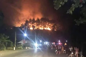 Lửa rừng tiến sát nhà dân, hàng chục hộ sơ tán ra quốc lộ