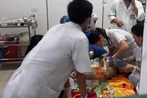 Bé gái 22 tháng tuổi bị chó becgie hàng xóm tấn công tử vong