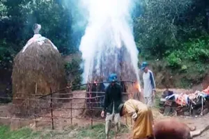 Trời nổi cơn dông, sét đánh chết bò xóa đói giảm nghèo