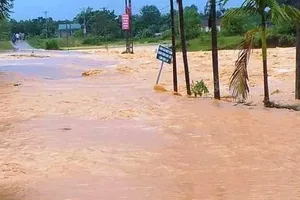Hàng ngàn hecta hoa màu ở Nghệ An, Hà Tĩnh chìm trong nước