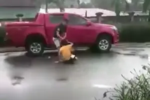 Xôn xao clip người đàn ông đánh vợ cũ tại sân bệnh viện 