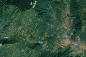 Cứu sống người phụ nữ ăn lá ngón vì giận chồng