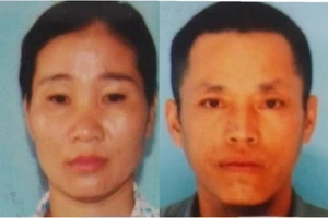 2 vợ chồng phá vườn keo của hàng xóm để 'trút giận'