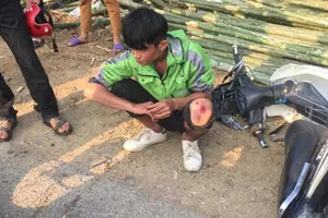 1 người dân tung cây ra đường quật ngã 2 kẻ cướp giật