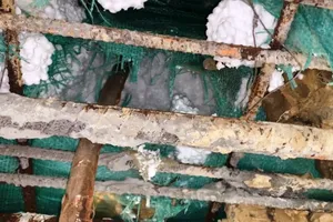 Cầu 12 nhịp lộ 'cốt xốp': Sở Xây dựng Hà Tĩnh gọi là sự cố