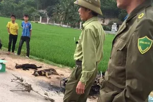 Một nghi phạm trộm chó bị dân đánh chết, đốt xe máy