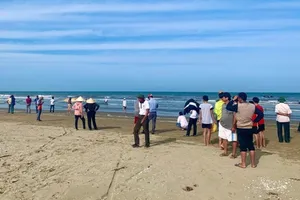 Cá voi khoảng 10 tấn dạt vào bờ biển Hà Tĩnh