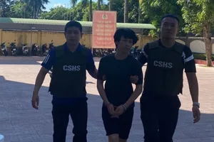 Con rể mua xăng đốt nhà mẹ vợ cũ để 'cảnh cáo'