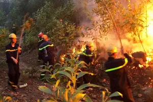 Cháy rừng bùng phát trở lại ở Nghệ An